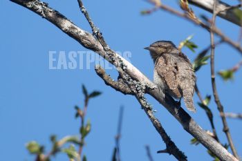 EA347574, Eastpress, Porvoo, Finland